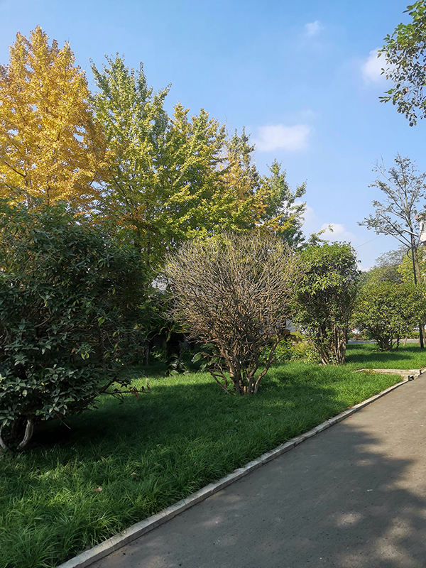 心博在线登录官网