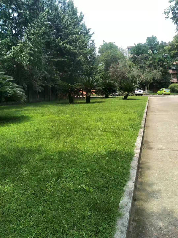 心博在线登录官网